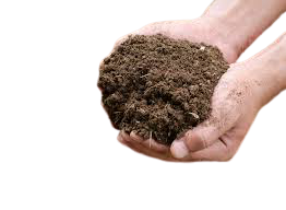 1614536930soil-removebg-preview.png